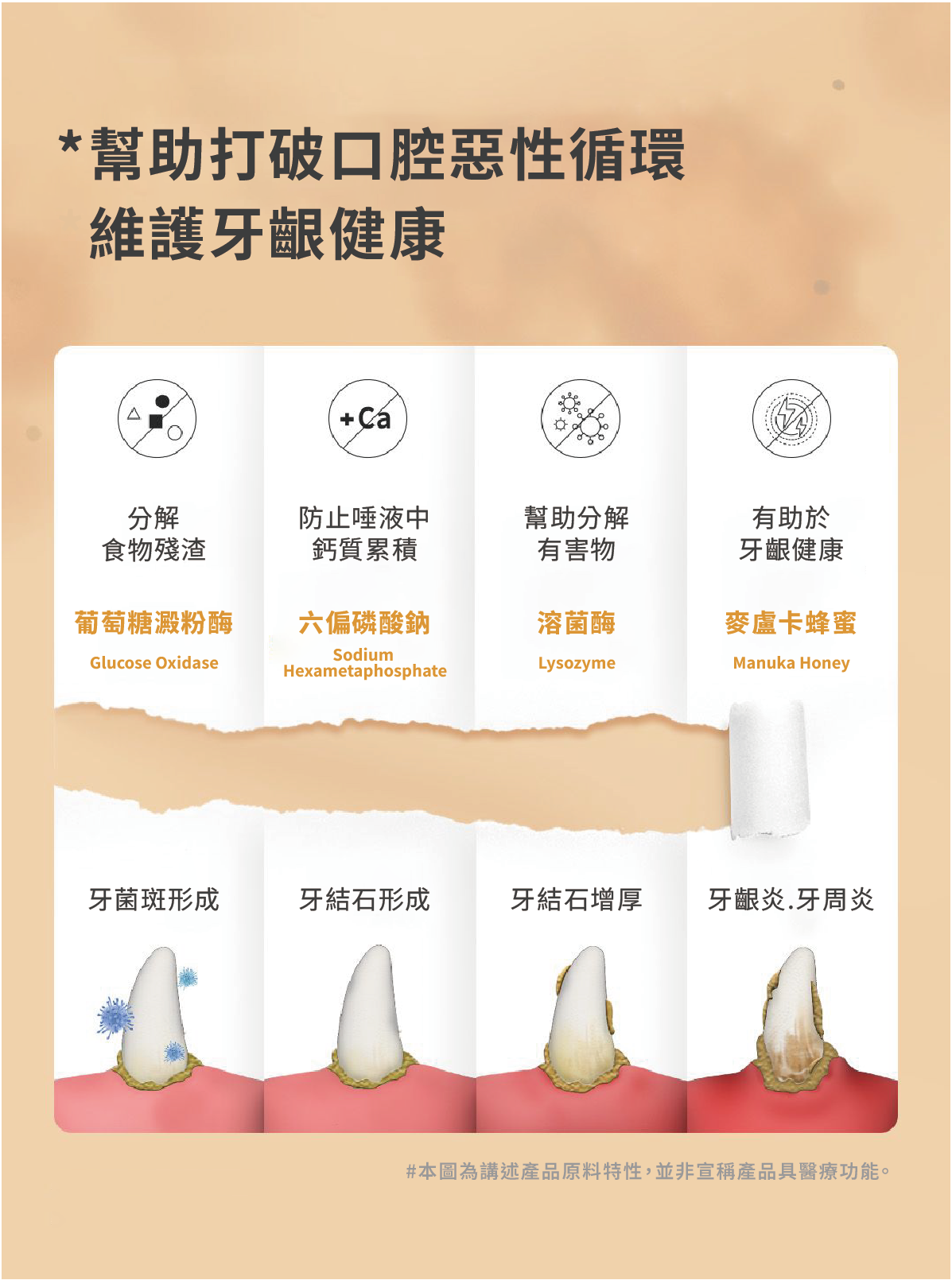 蜂巢六角潔牙骨 雞肉L 19