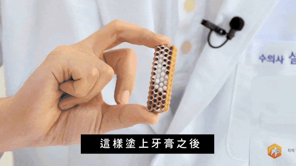 蜂巢六角潔牙骨 雞肉L 18