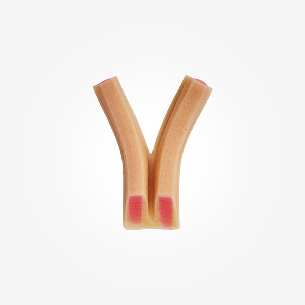 image_5355F53E-010C-4160-80AB-DECC626BDF06_1772860275