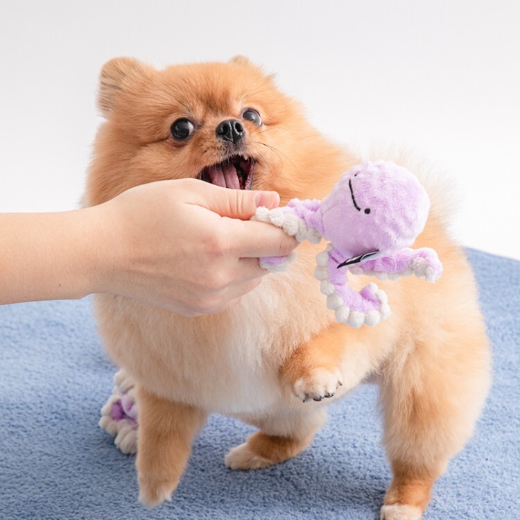 09c821c2c1d3406e3c507d351b4b047d