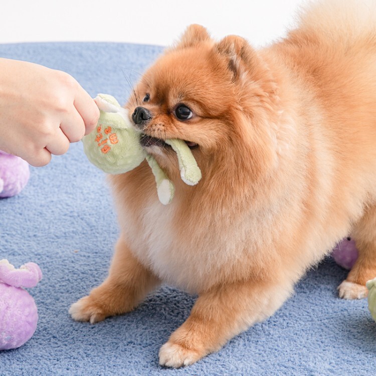 e49aa46118c0aa2f65929e4309efe335