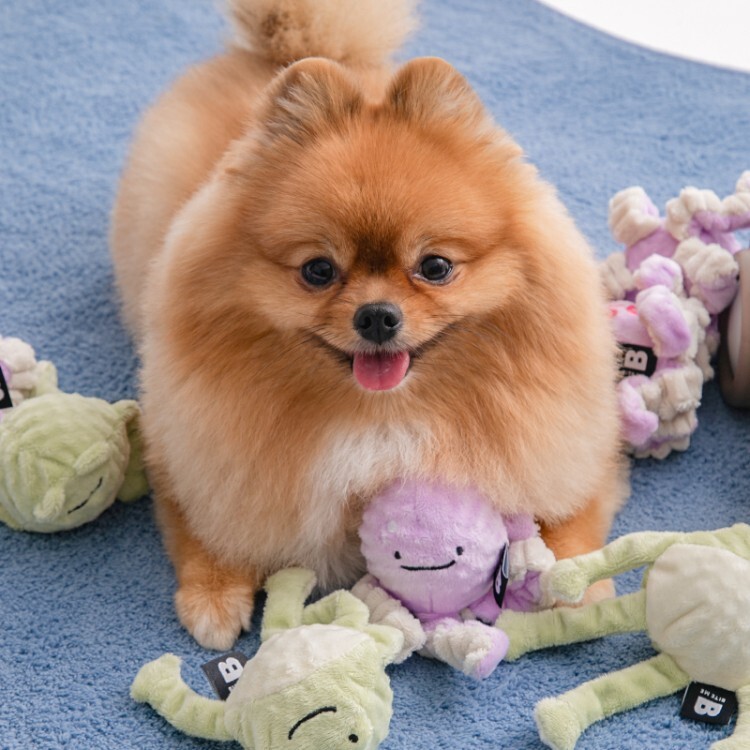 5ad8e227e43540664fa84424ae98c067