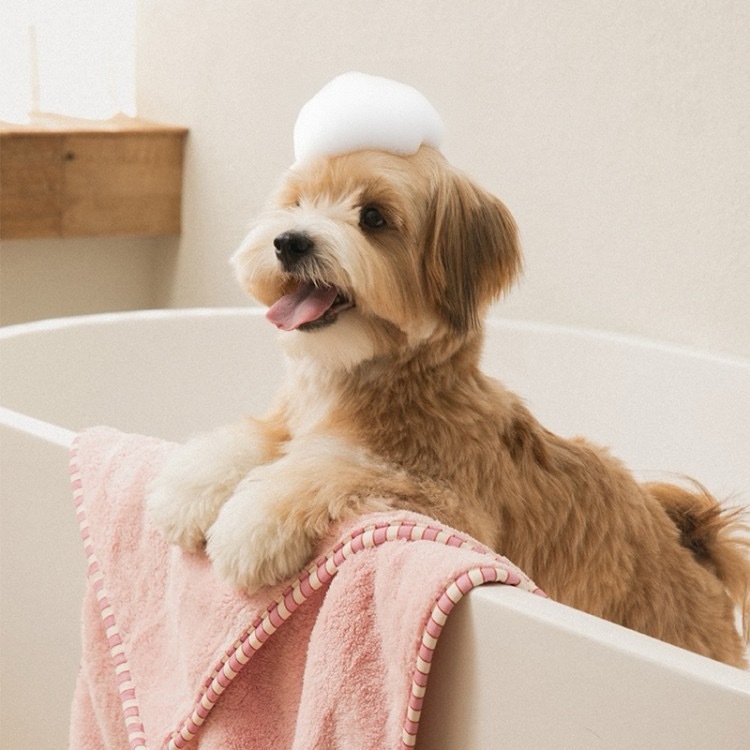 image_080B51DC-A415-48D7-9F73-5F5AB3E2635D_1773066045