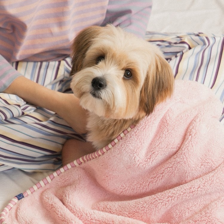 image_5100CF89-BE70-4EF6-8A27-EC3E2835824E_1773066045