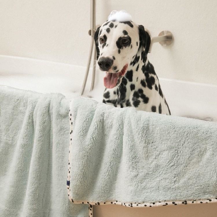 image_E849C45B-EF97-4E0E-8FA9-54A2D64F791A_1773066045