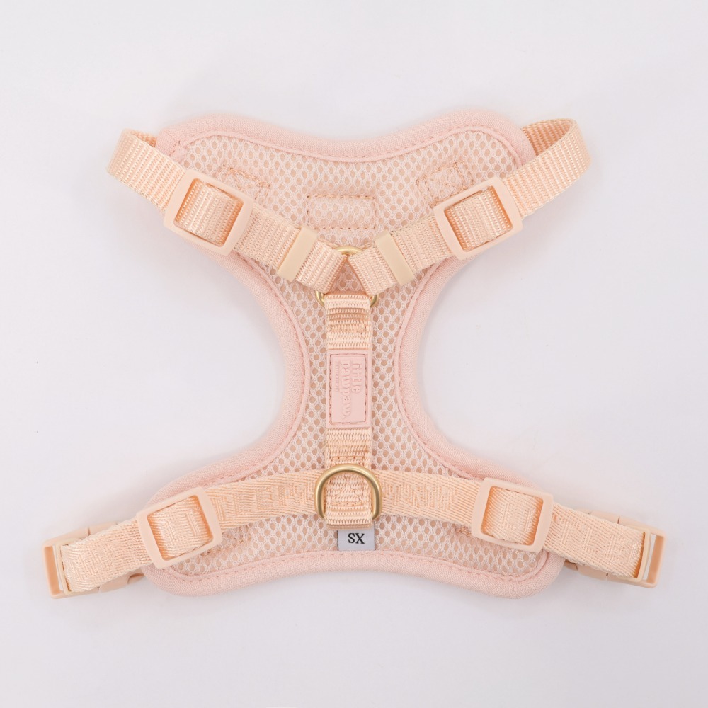 「調整_影像_大小」專_案 (1)