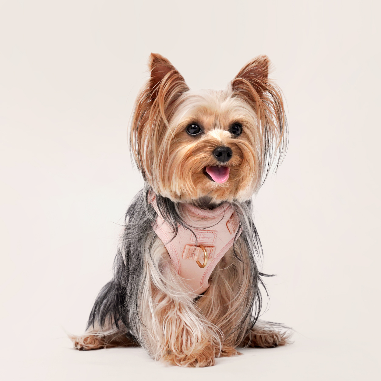 harness-太空_產品圖-10