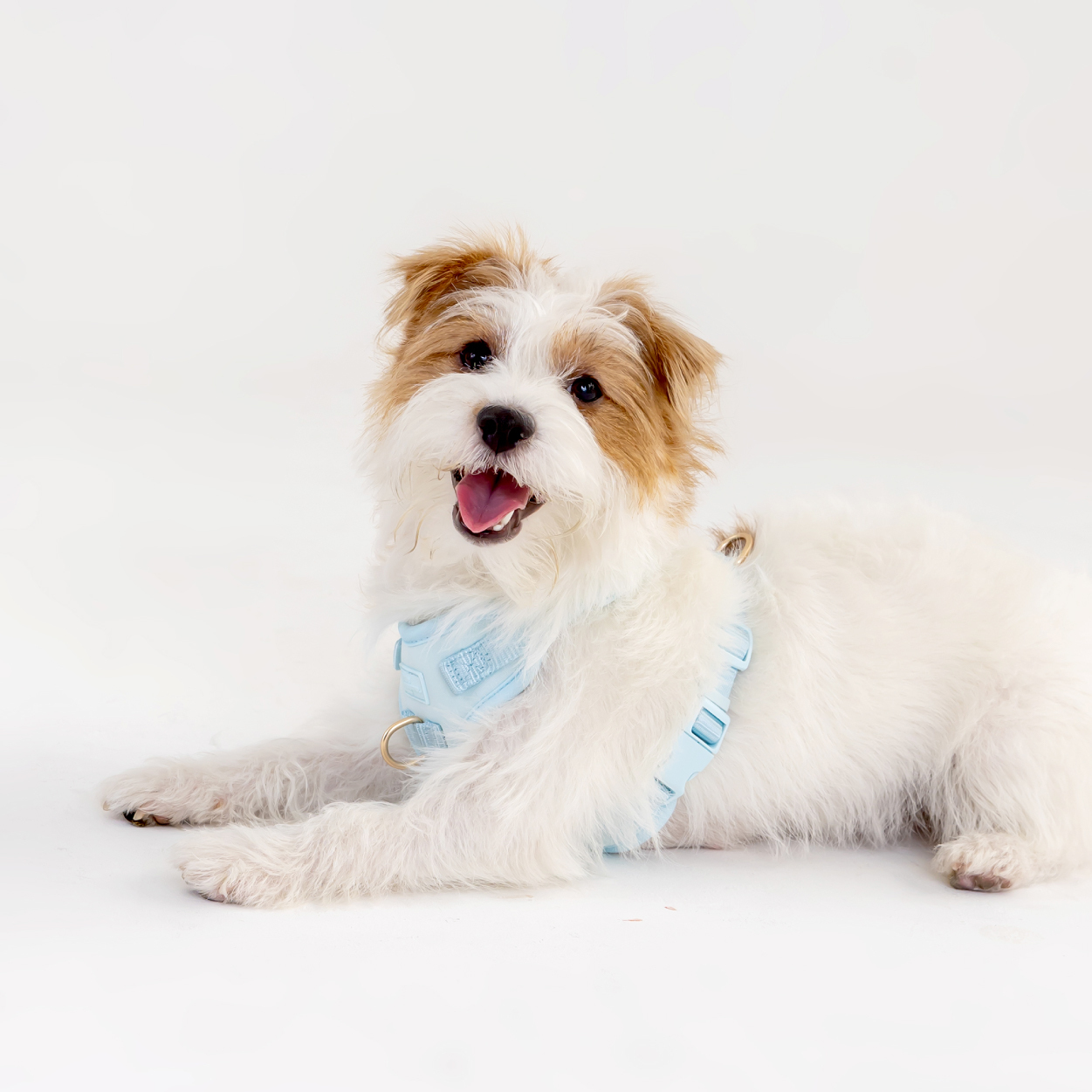 商品圖-太空-ble_產品圖-ble-06