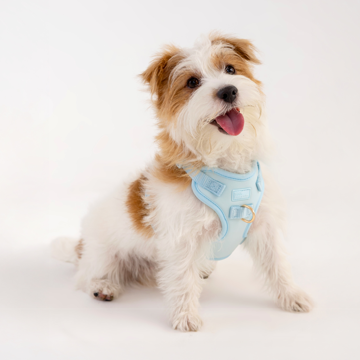 商品圖-太空-ble_產品圖-ble-04