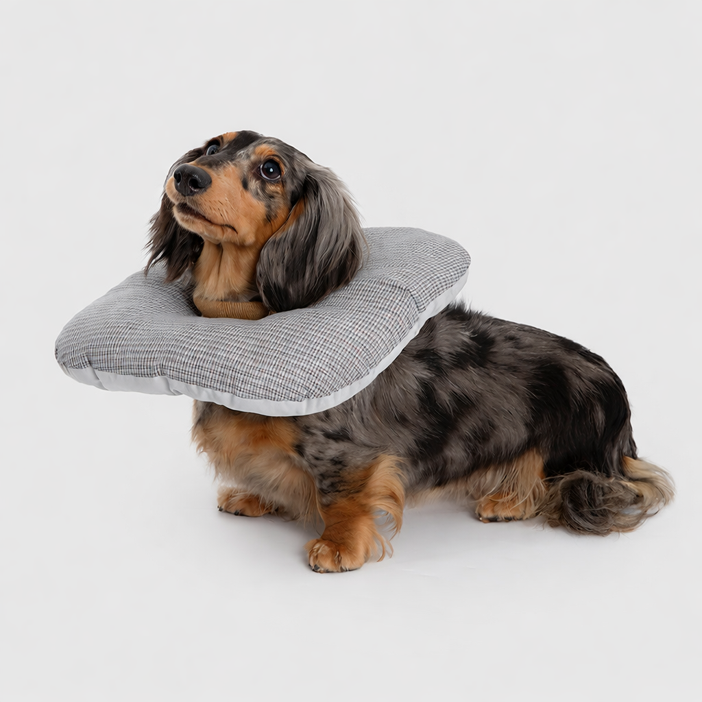 75b37d91-9b70-46f0-8b8b-1a5a3cc774ef