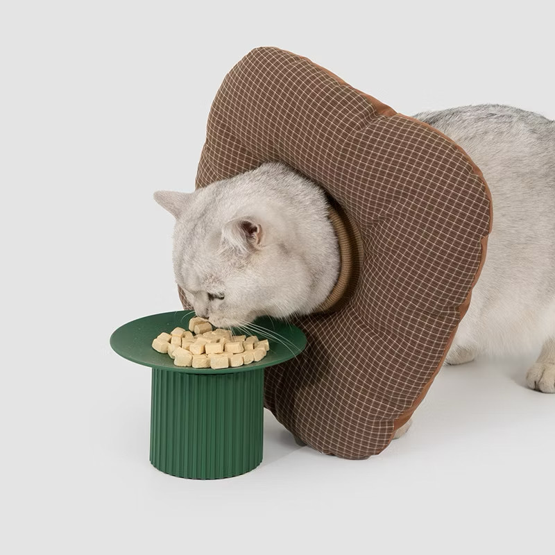 image_DA36E24E-492E-42B6-BA59-233F241D06BA_1776337348