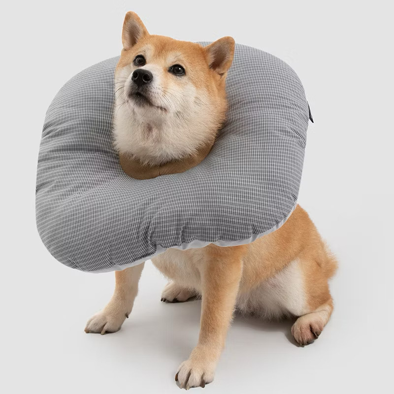 image_997A0A4F-F933-406C-B716-D04A4EC52B57_1776337348