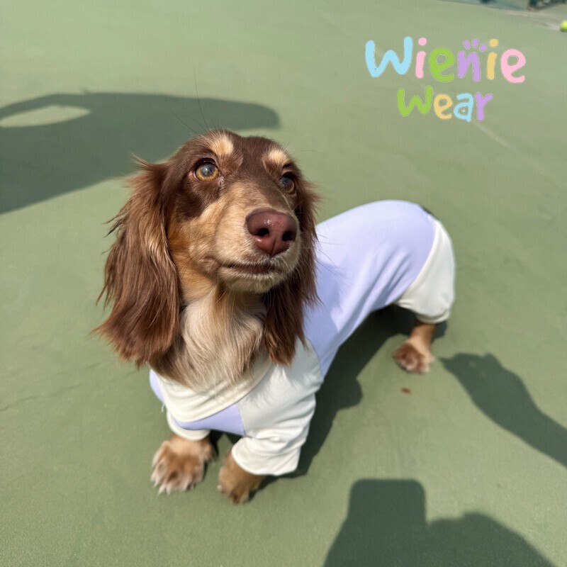 result_811361C1-99C6-484C-B73C-0C4BDC621603