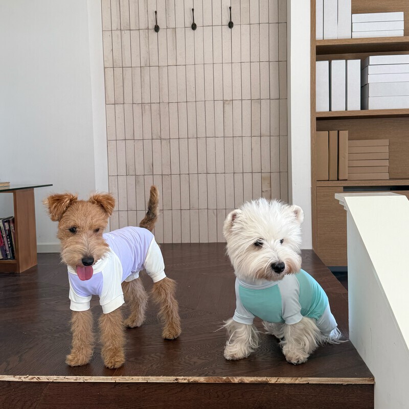 result_S__69320711_0