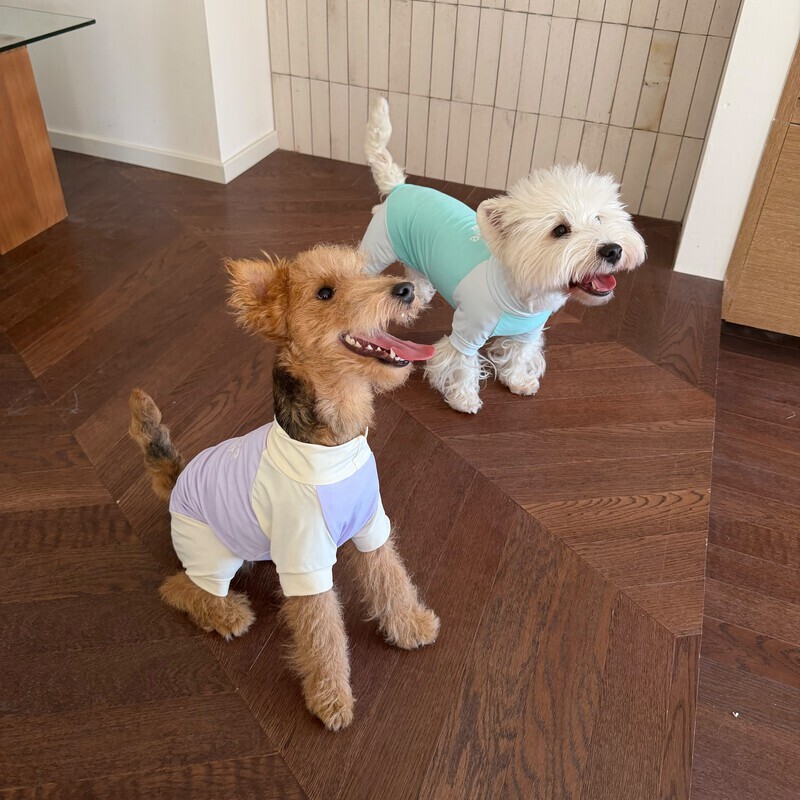 result_S__69320718_0