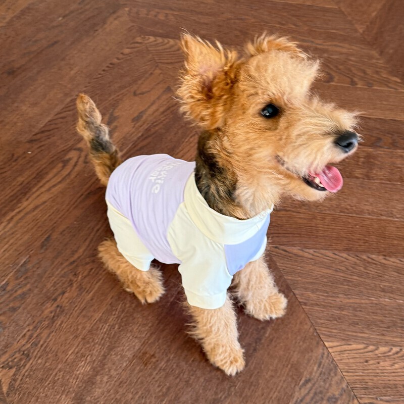 result_S__69320715_0