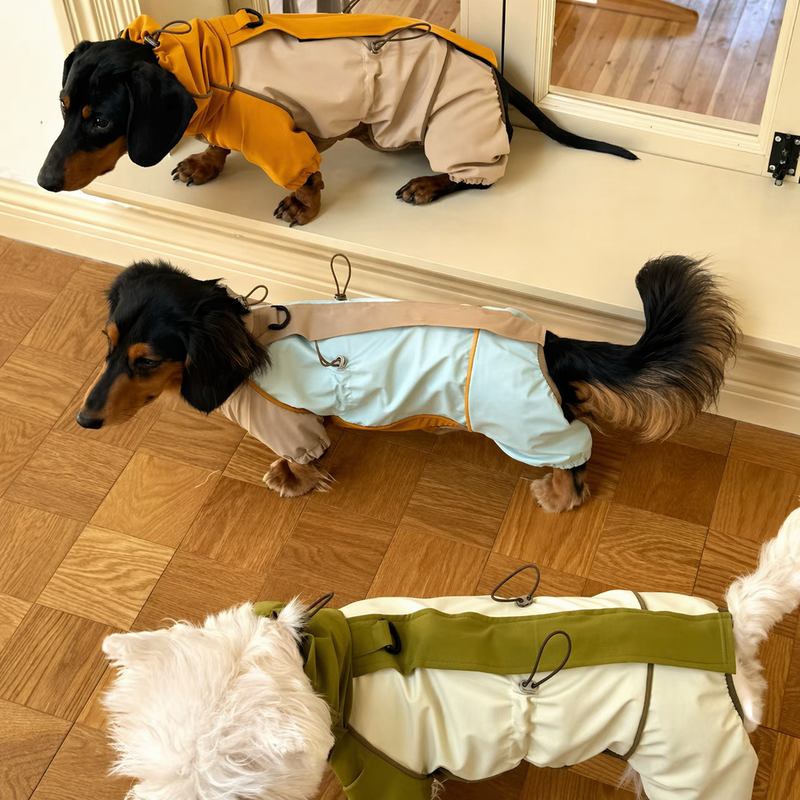 result_9bcae907-8d05-47f9-994f-262bca2e48da