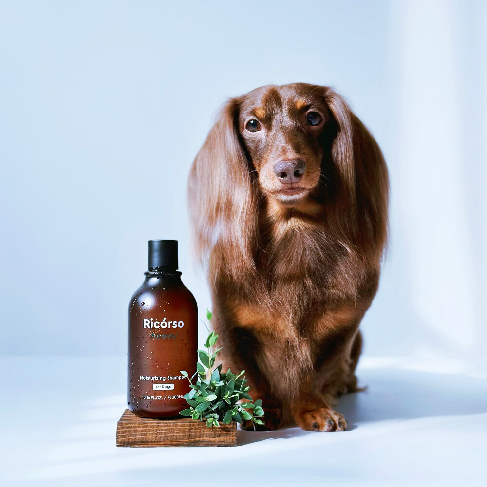 Foresty Moisturizing Shampoo 商品圖04