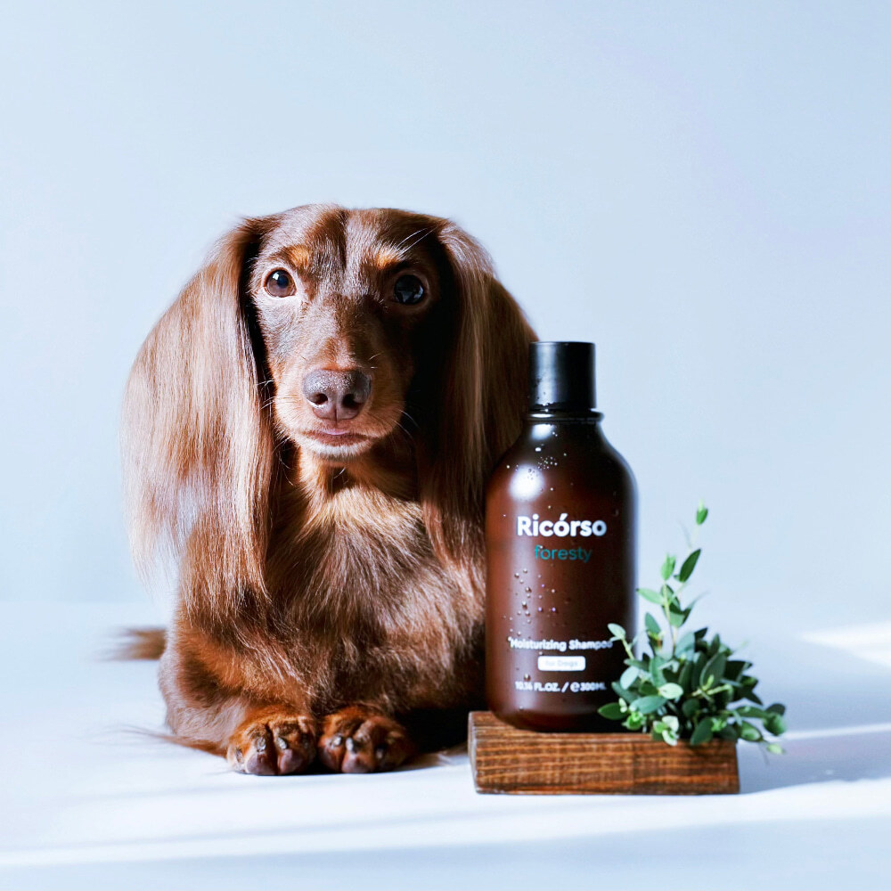 Foresty Moisturizing Shampoo 商品圖03