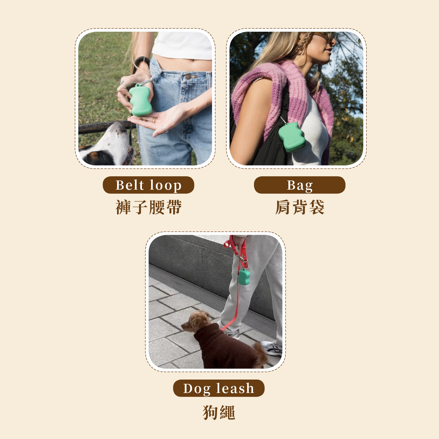 Springer零食收納8