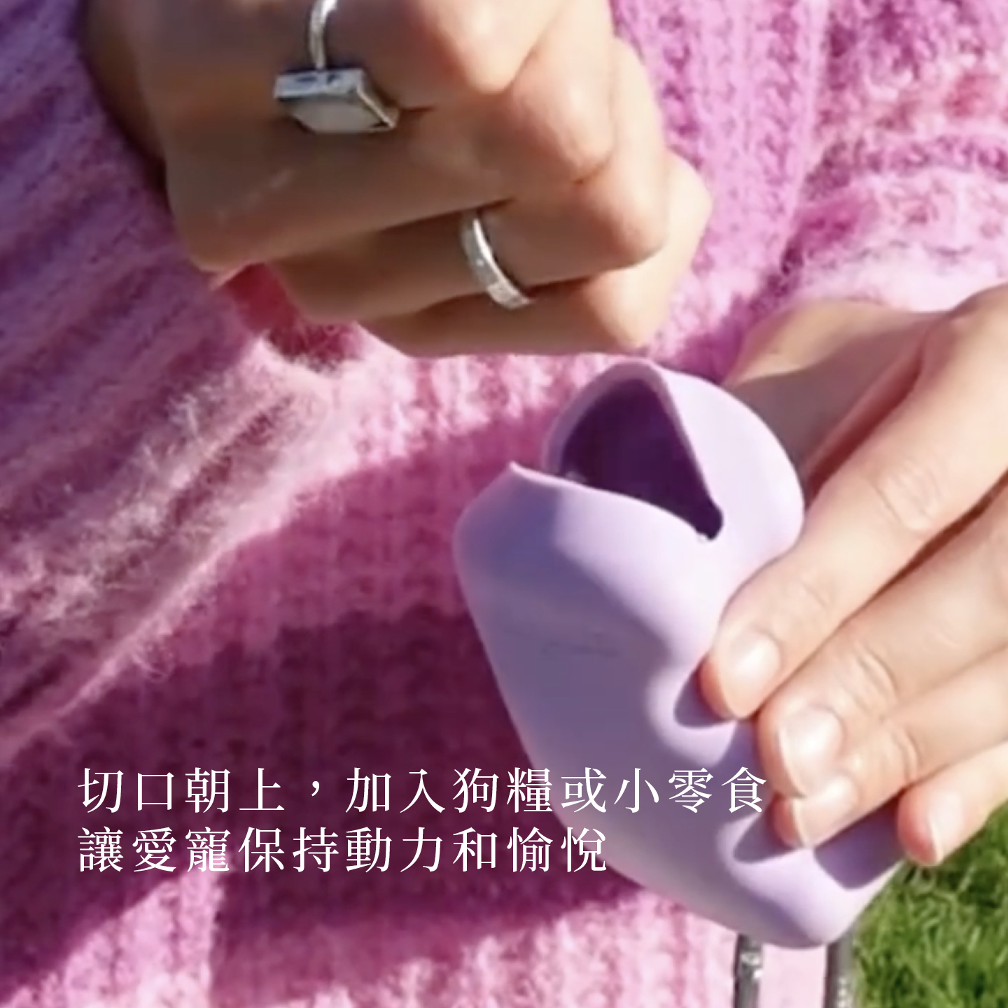 Springer零食收納6