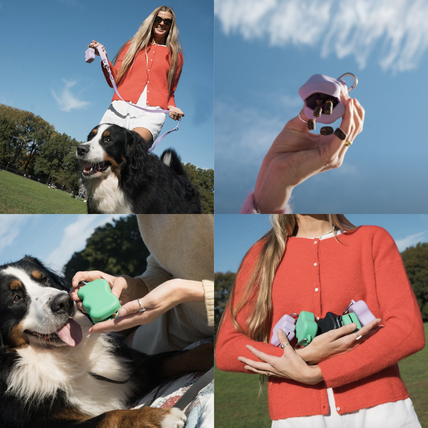 Springer零食收納5