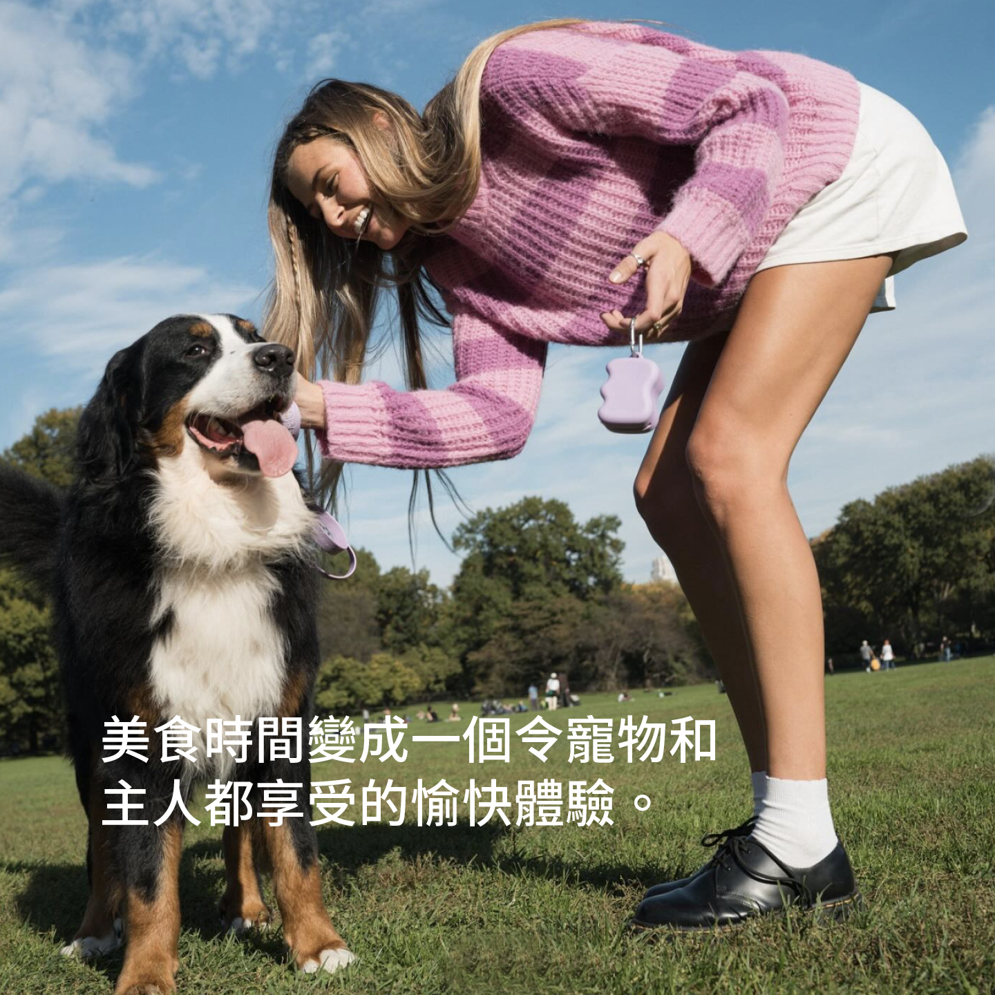 Springer零食收納3