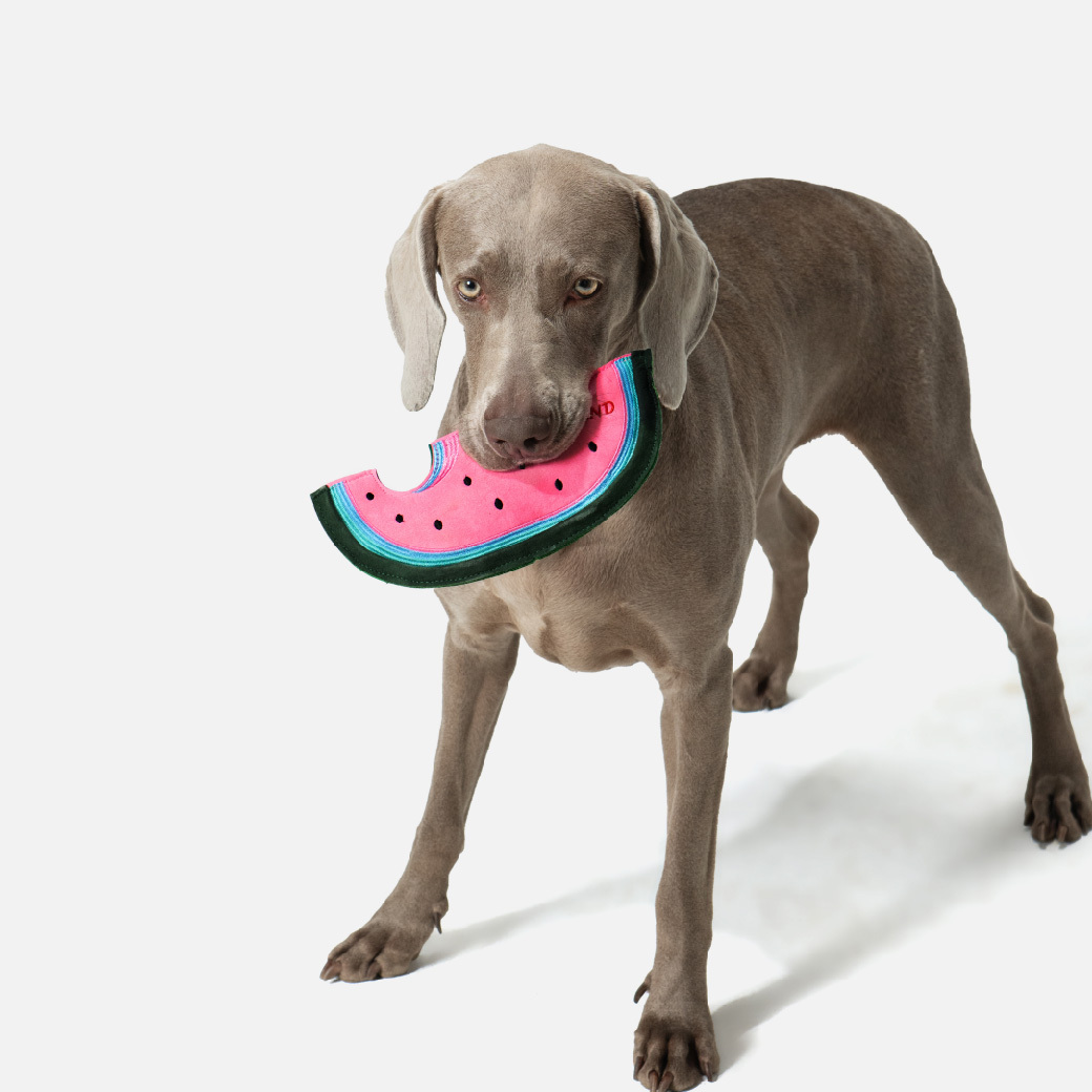watermelon-08