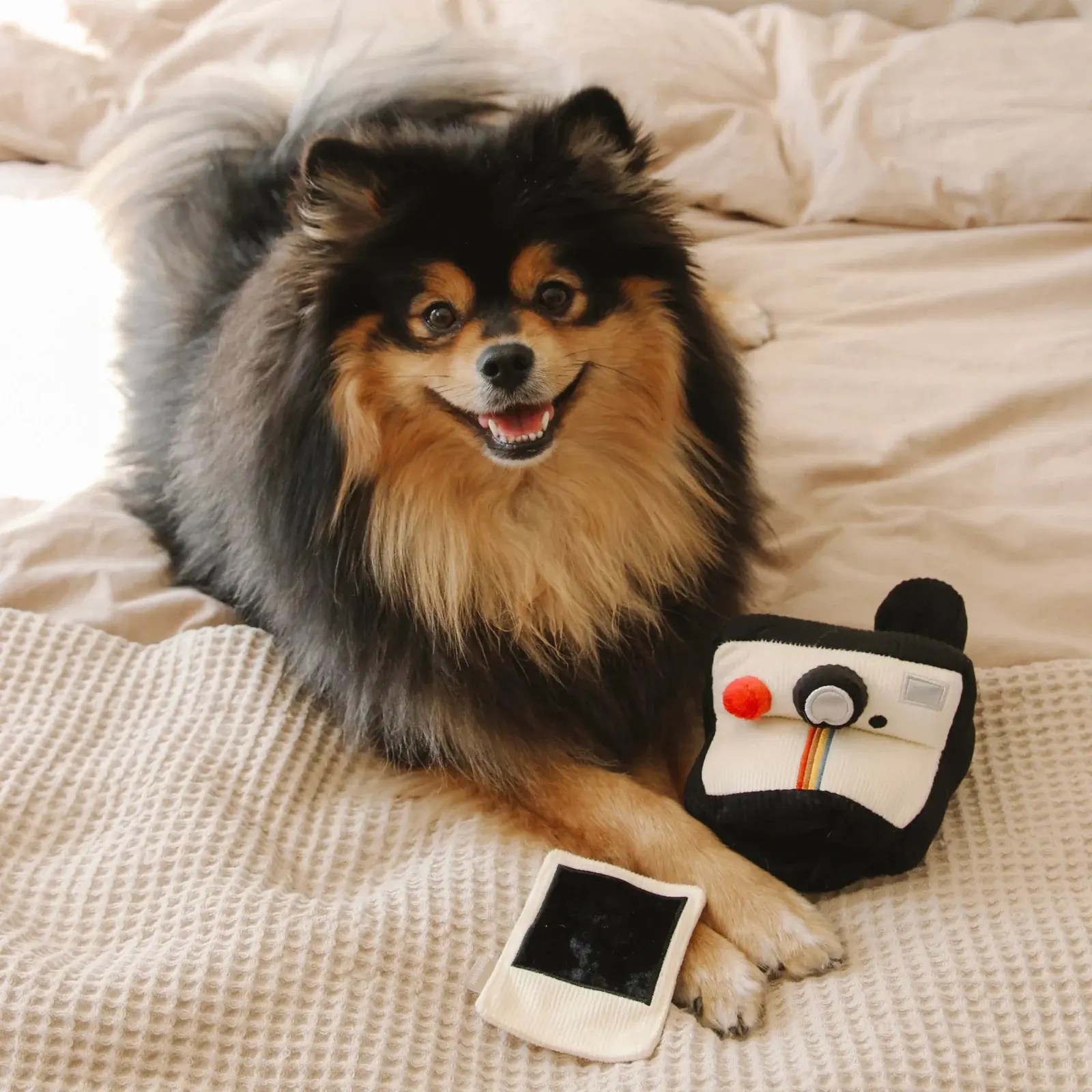 pomtoro_INSTANT_CAMERA_8