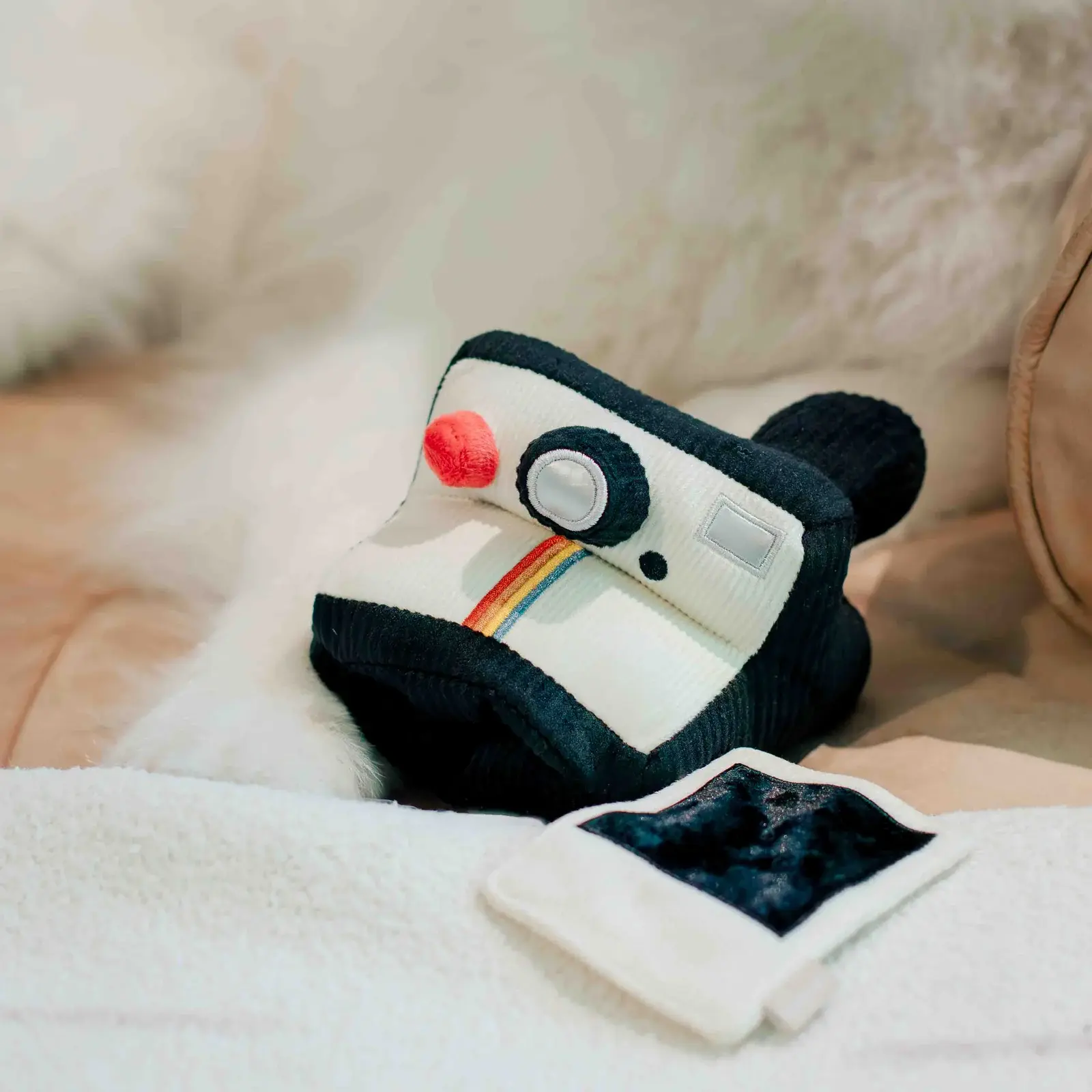 houseofpawtatoes_INSTANT_CAMERA_5