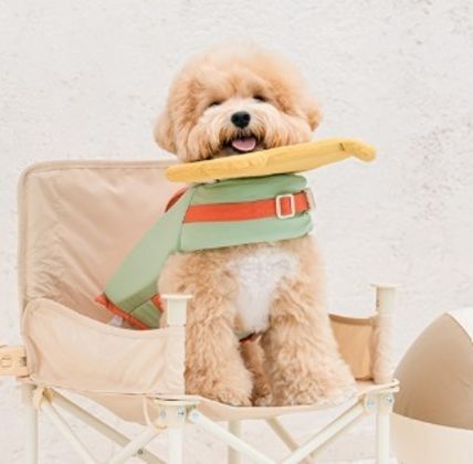 bite-me-lifestyle-pet-clothes (1)