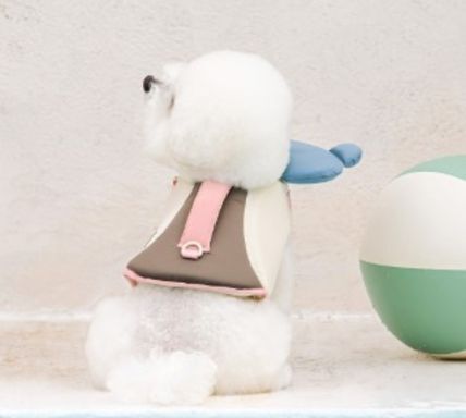 bite-me-lifestyle-pet-clothes