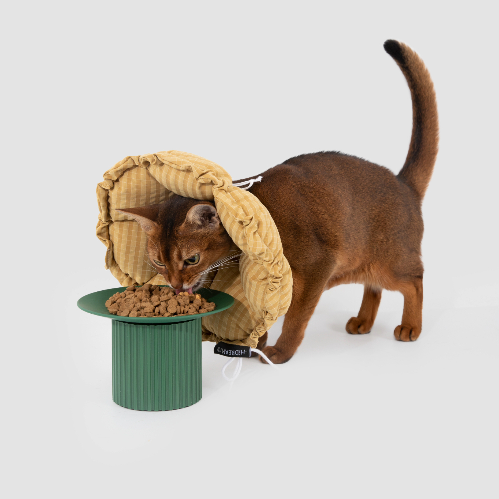 Adobe Express - file (7)