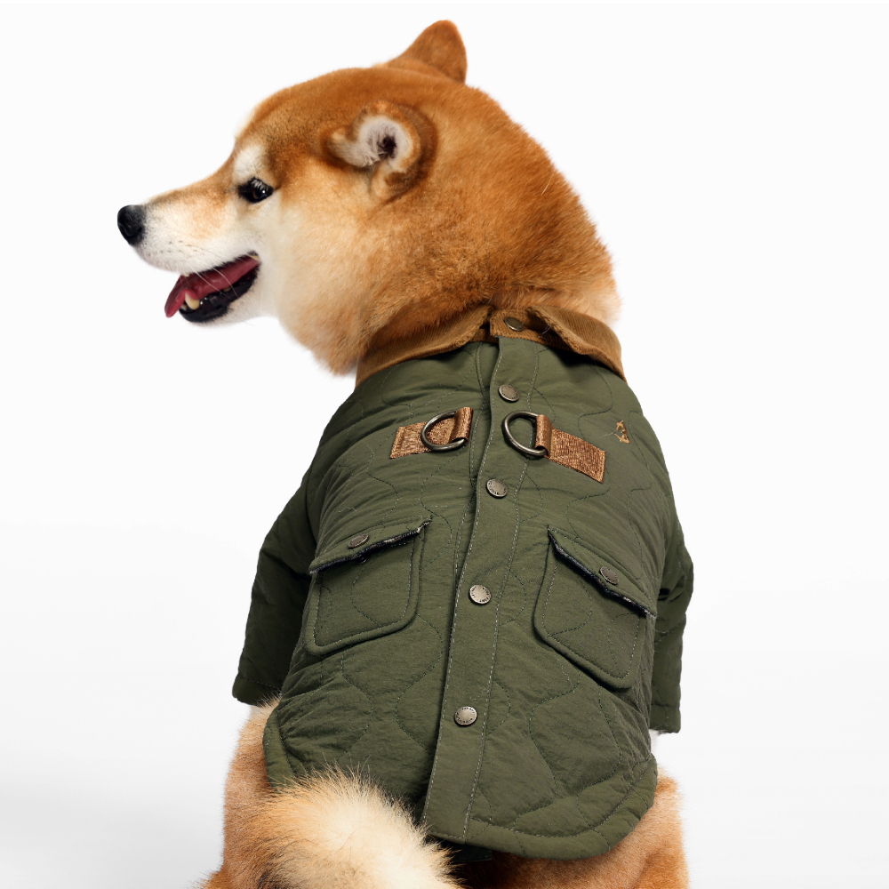 Adobe Express - file (2)