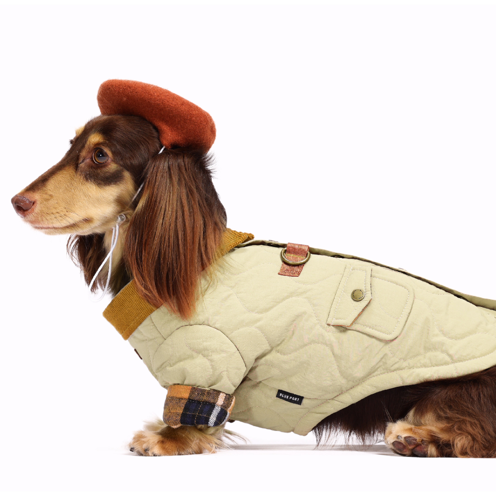 Adobe Express - file (9)