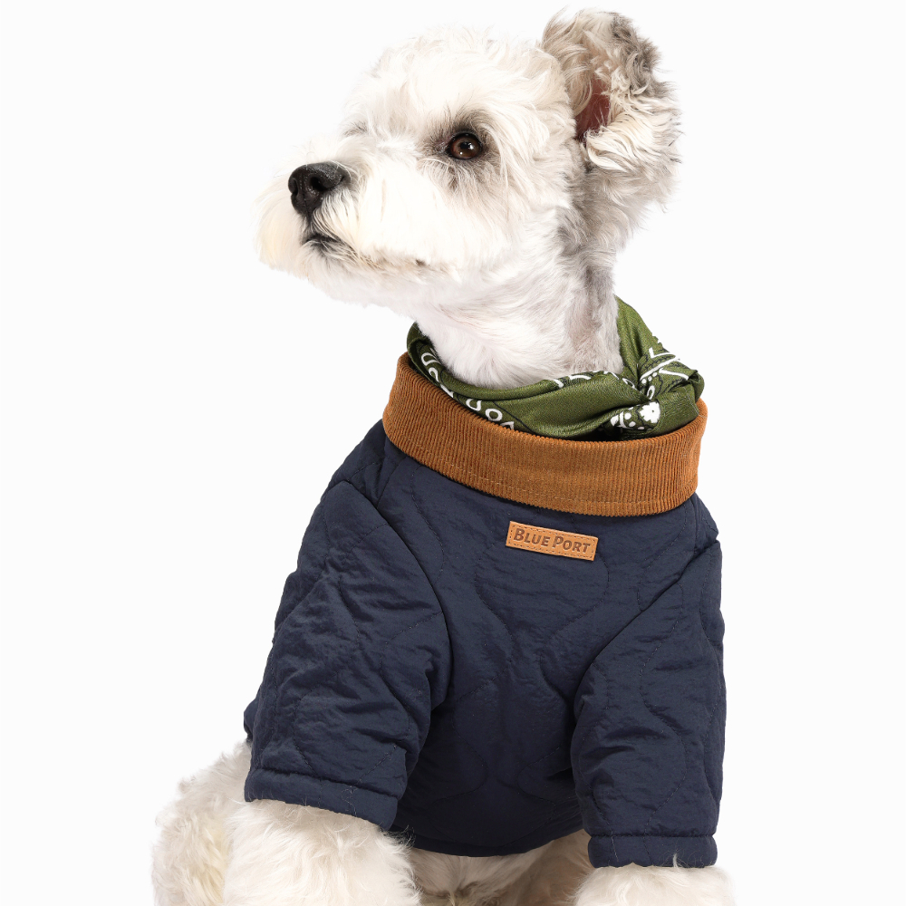 Adobe Express - file (8)