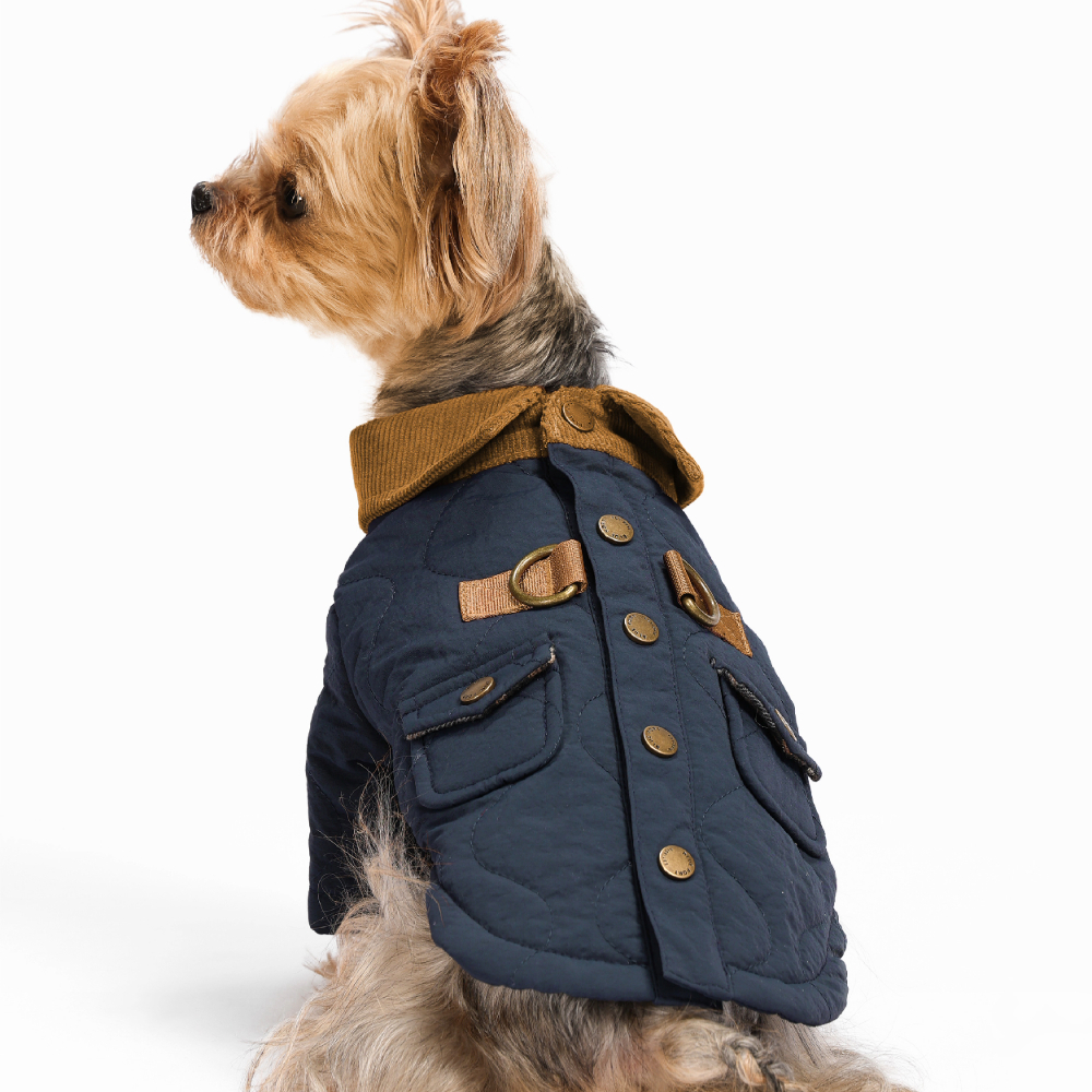 Adobe Express - file (7)