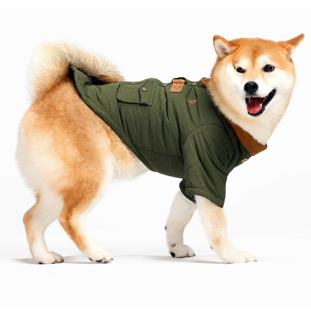 Adobe Express - file (6)