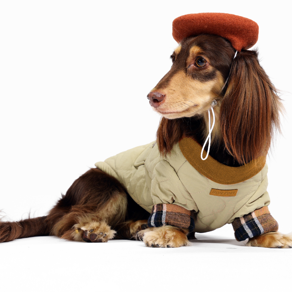 Adobe Express - file (10)