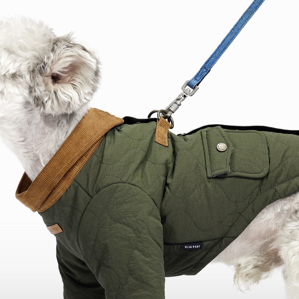 Adobe Express - file (4)