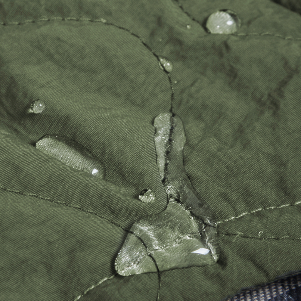 Adobe Express - file (3)