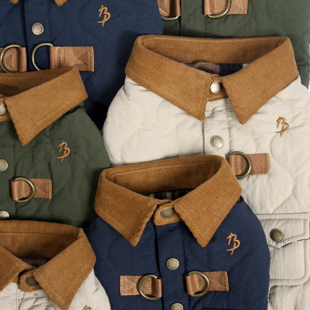 Adobe Express - file (13)