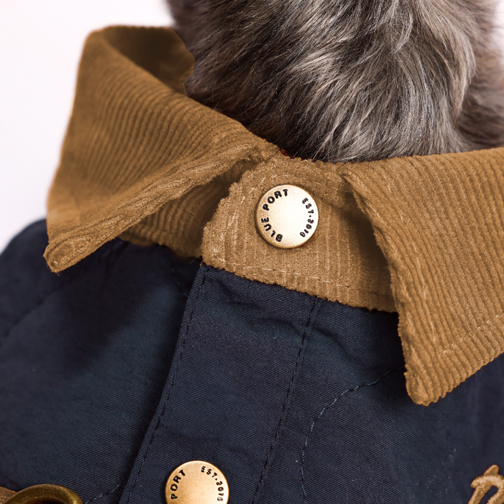 Adobe Express - file (12)