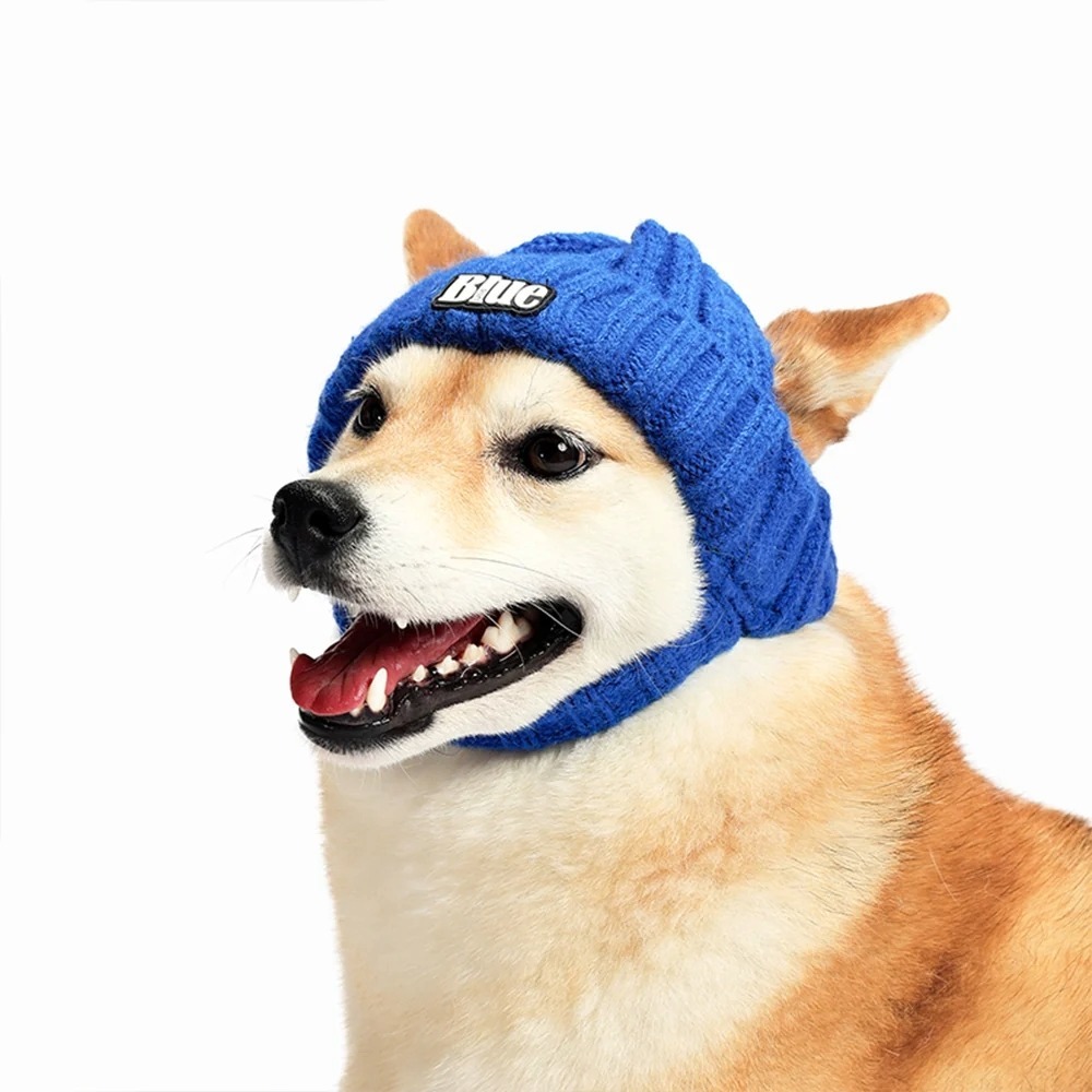 Adobe Express - file (4)