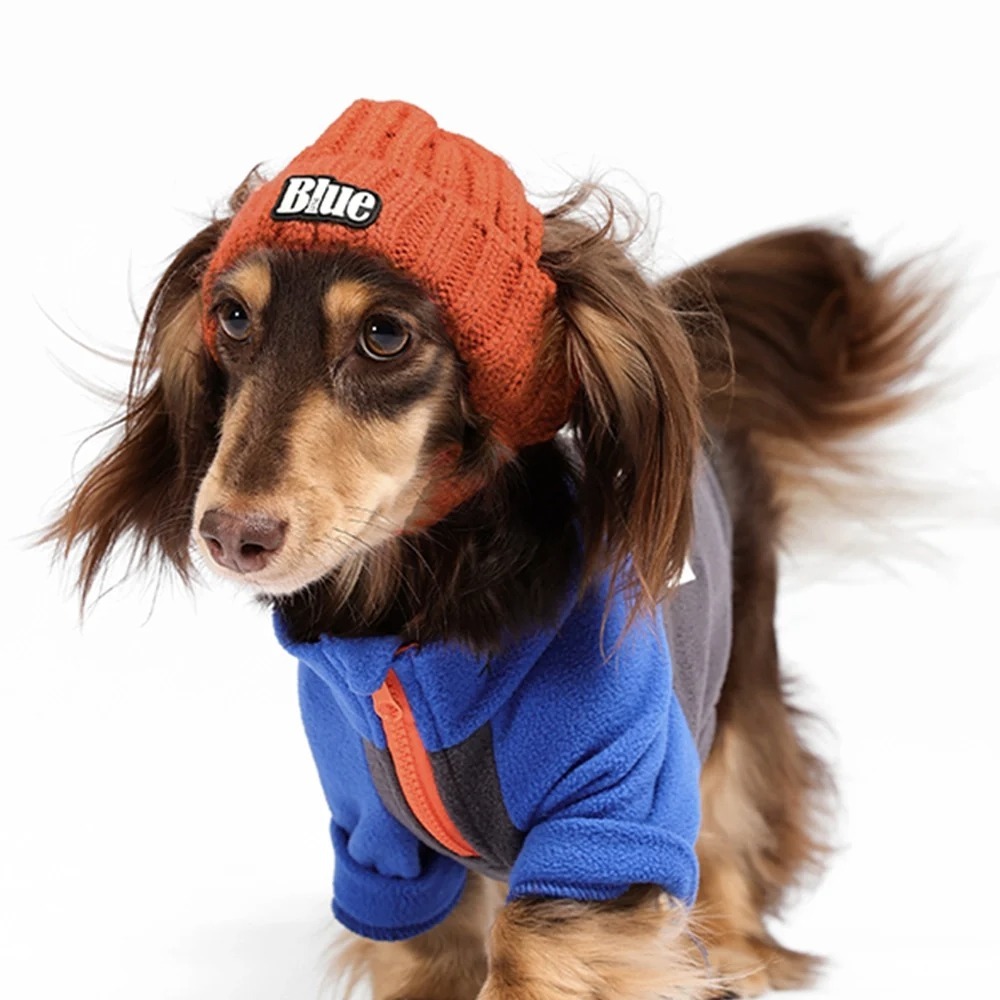 Adobe Express - file (6)