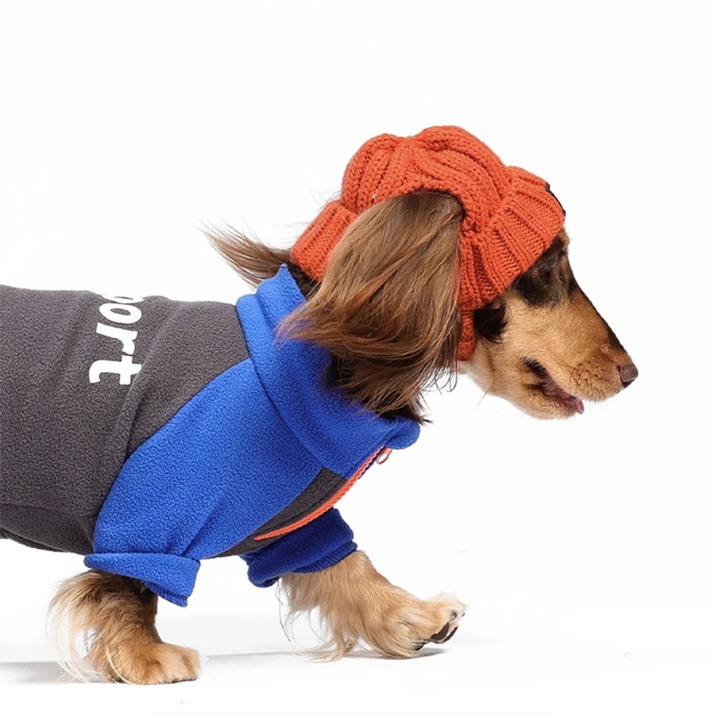 Adobe Express - file (2)