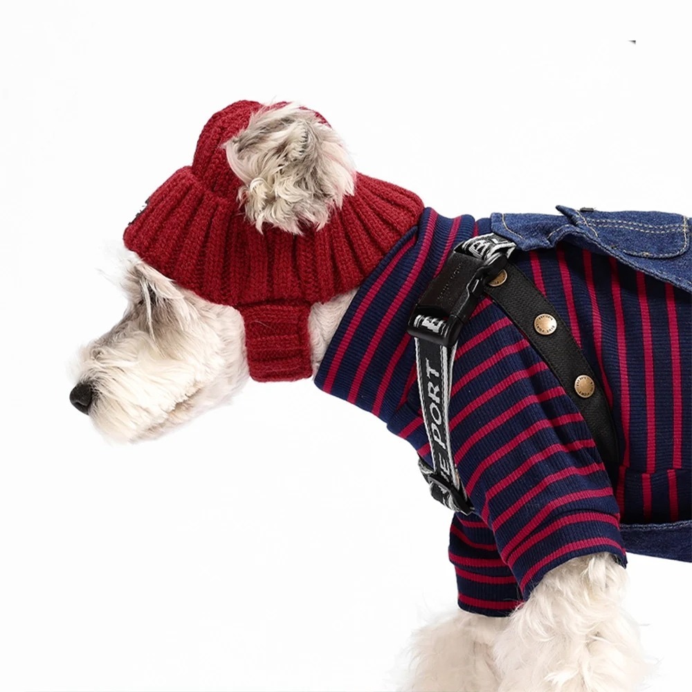 Adobe Express - file (5)