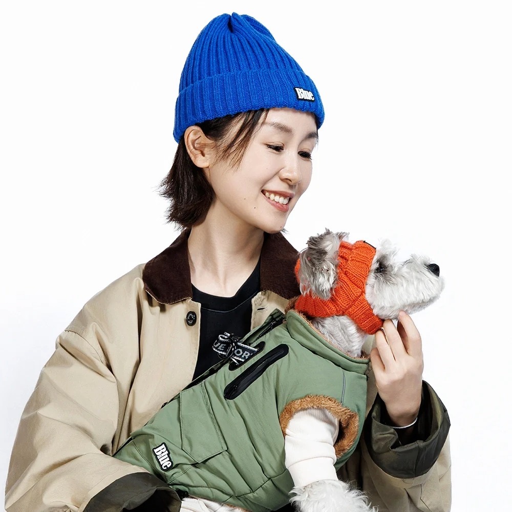 Adobe Express - file