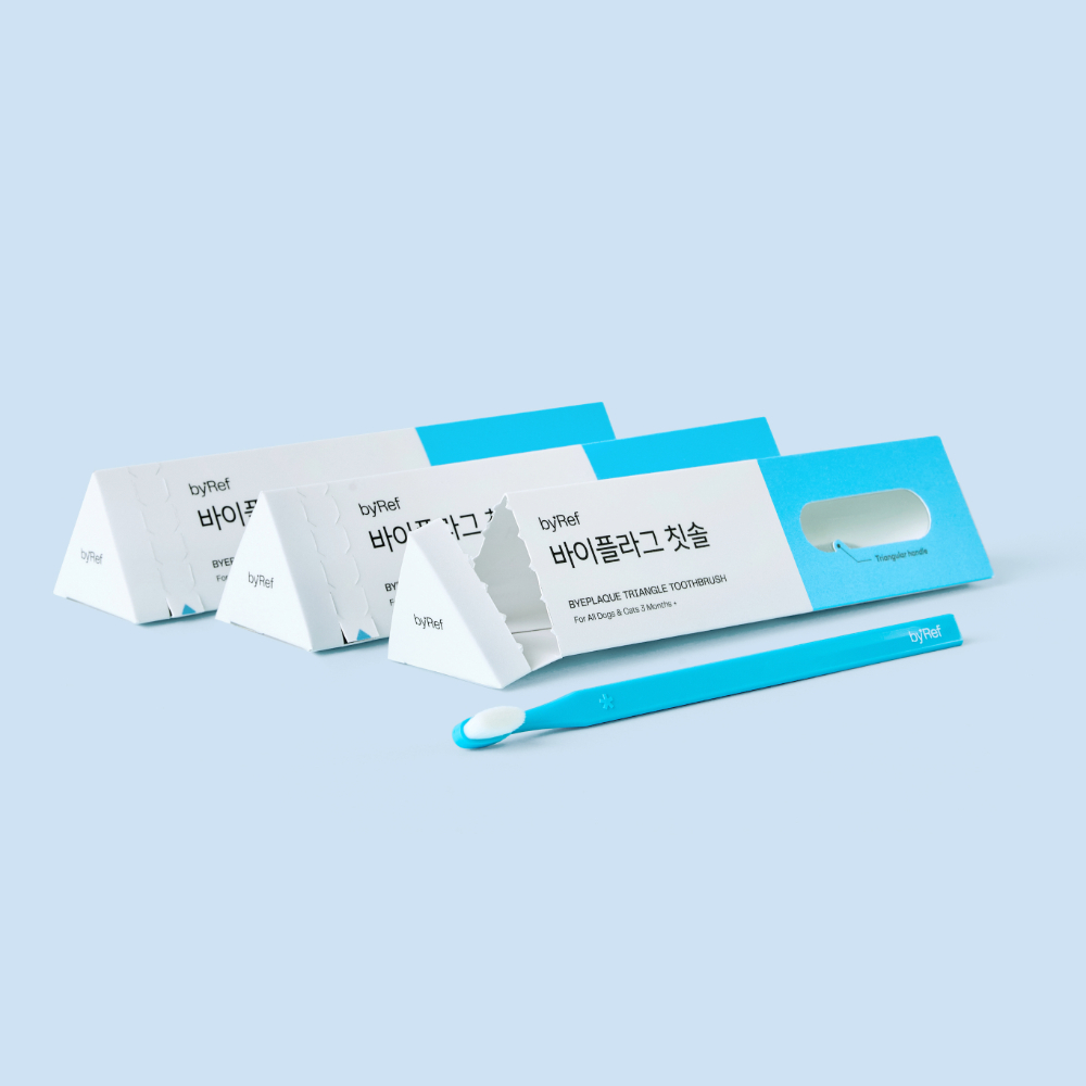 Adobe Express - file (1)