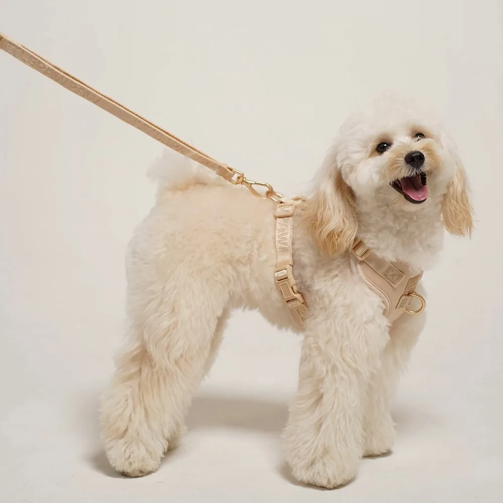 「調整_影像_大小」專_案